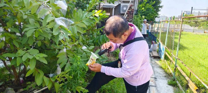 容易孳生病媒蚊場域和積水容器態樣